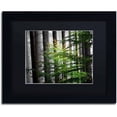 thumbnail image 1 of Trademark Fine Art "The Cell" Canvas Art by Philippe Sainte-Laudy, Black Matte, Black Frame, 1 of 4