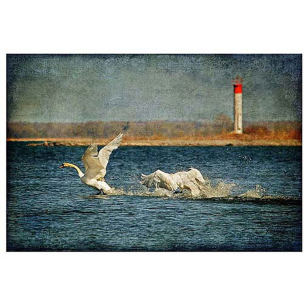 Lois Bryan 'Swans' 27" x 20" Canvas Art Print