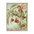 thumbnail image 1 of Trademark Fine Art 'The Cherry Tree Fairy' Canvas Art by Vision Studio, 1 of 3