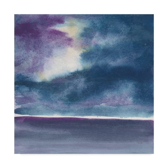 Trademark Fine Art 'The Clouds II' Canvas Art by Chris Paschke