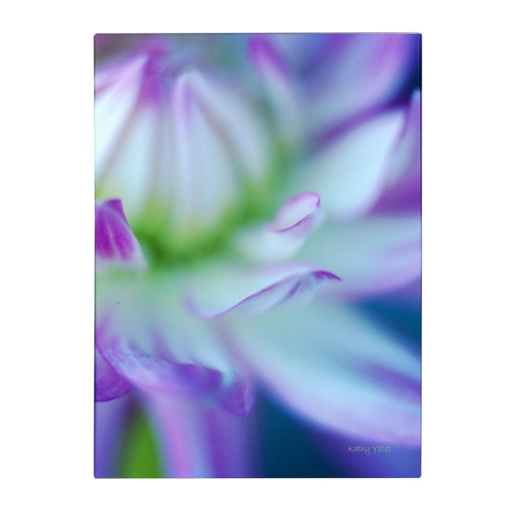 Trademark Fine Art 'The Color Purple' Canvas Art by Kathy Yates