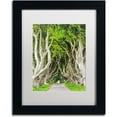 thumbnail image 1 of Trademark Fine Art "The Dark Hedges" Canvas Art by Philippe Sainte-Laudy, White Matte, Black Frame, 1 of 4