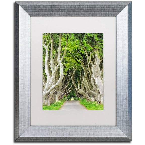 Trademark Fine Art "The Dark Hedges" Canvas Art by Philippe Sainte-Laudy, White Matte, Silver Frame