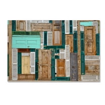 Trademark Fine Art 'The Doors' Canvas Art by Ali Ayer