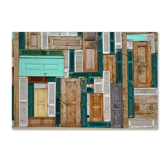 Trademark Fine Art 'The Doors' Canvas Art by Ali Ayer