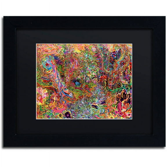 Trademark Fine Art "The Dove And The Crow" Canvas Art by Josh Byer, Black Matte, Black Frame