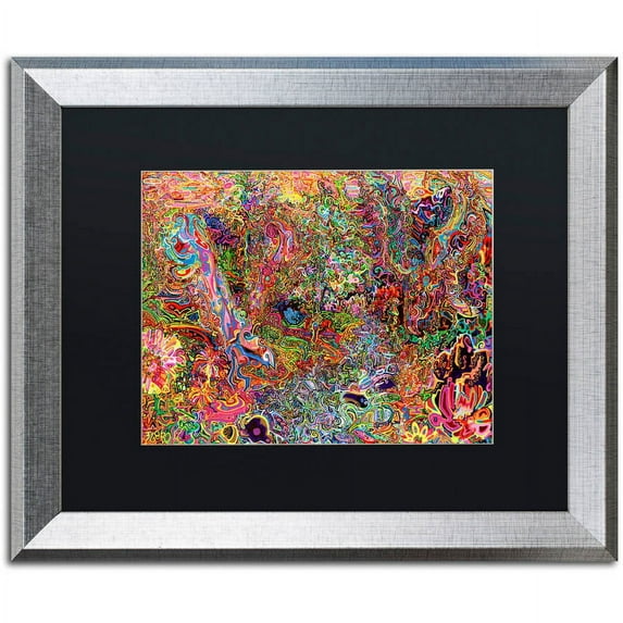 Trademark Fine Art "The Dove And The Crow" Canvas Art by Josh Byer, Black Matte, Silver Frame