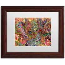 Trademark Fine Art "The Dove And The Crow" Canvas Art by Josh Byer, White Matte, Wood Frame