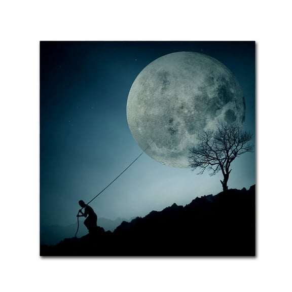 Trademark Fine Art 'The Dreamer' Canvas Art by Final Toto