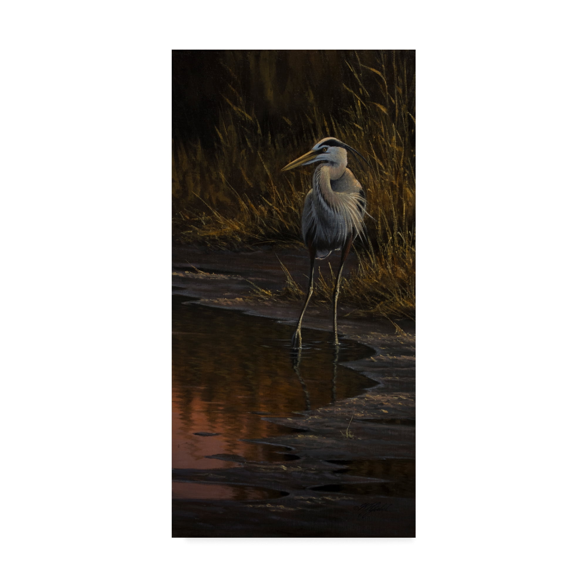 Trademark Fine Art 'The Edge Great Blue Heron' Canvas Art by Wilhelm Goebel
