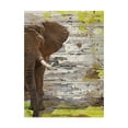 thumbnail image 1 of Trademark Fine Art 'The Elephant I' Canvas Art by Irena Orlov, 1 of 4