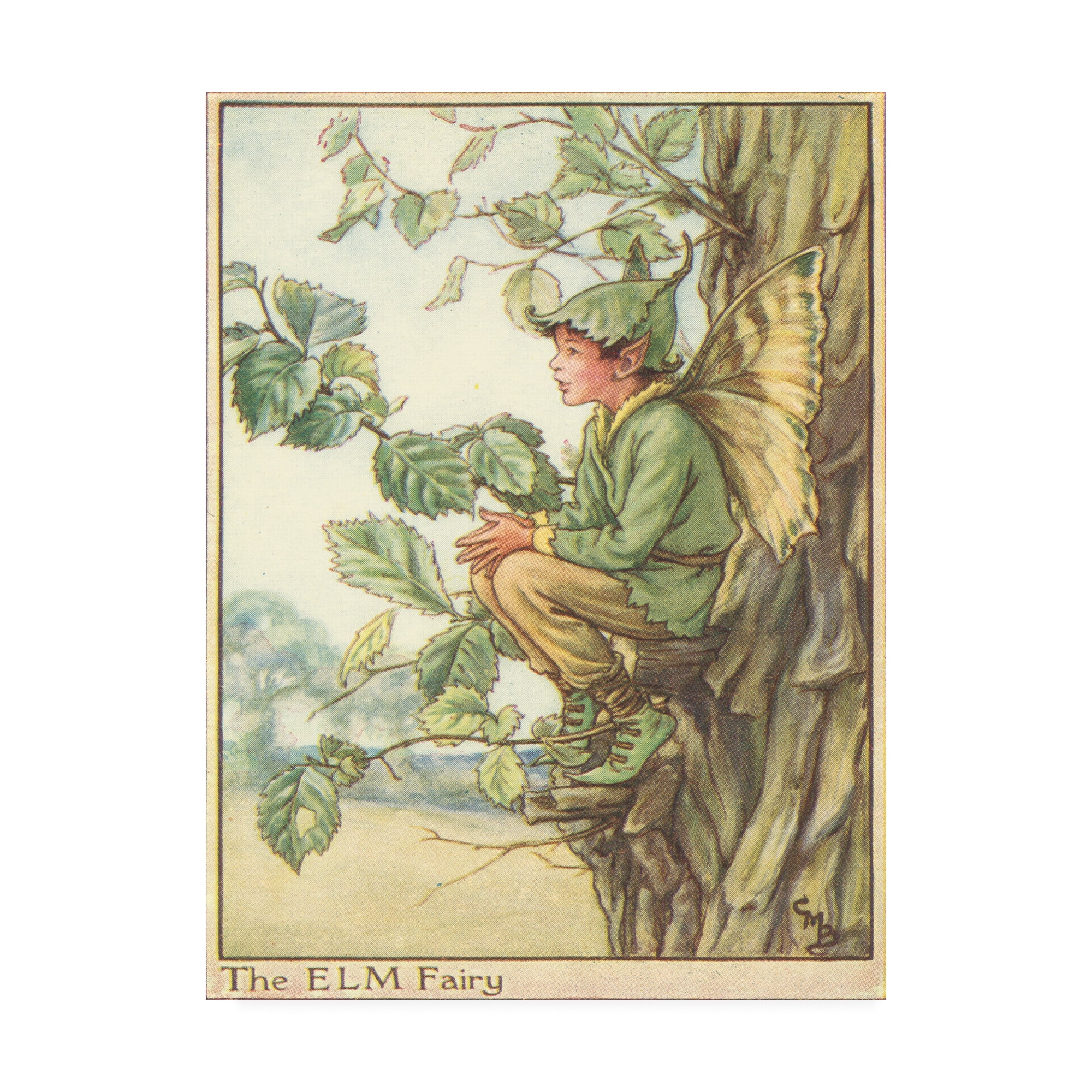 Trademark Fine Art 'The Elm Fairy' Canvas Art by Vision Studio