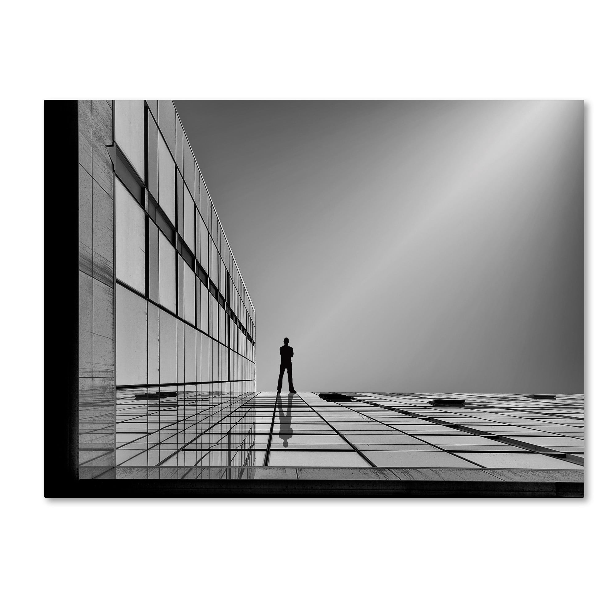 Trademark Fine Art 'The Evolution Of Space' Canvas Art by Yvette Depaepe