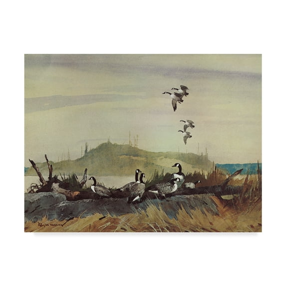 Trademark Fine Art 'The Exploring Party' Canvas Art by Roy M. Mason
