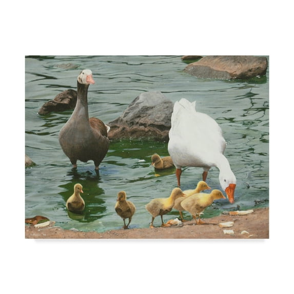 Trademark Fine Art 'The Family Ducks' Canvas Art by Luis Aguirre