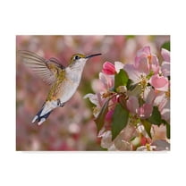 Trademark Fine Art 'The Flower Dance V' Canvas Art by Leda Robertson