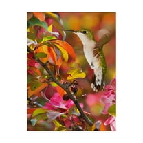 Trademark Fine Art 'The Flower Dance XVII' Canvas Art by Leda Robertson