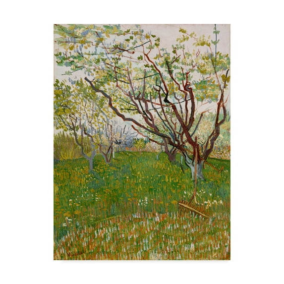 Trademark Fine Art 'The Flowering Orchard' Canvas Art by Vincent Van Gogh