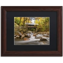 Trademark Fine Art 'The Flume Bridge' Canvas Art by Michael Blanchette Photography, Black Matte, Wood Frame