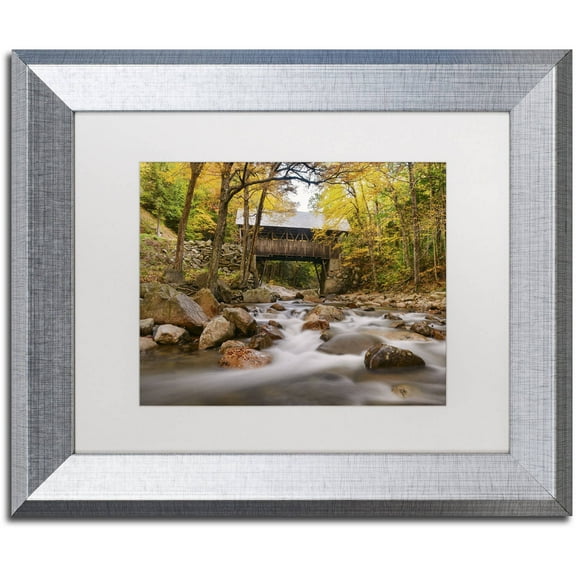 Trademark Fine Art 'The Flume Bridge' Canvas Art by Michael Blanchette Photography, White Matte, Silver Frame