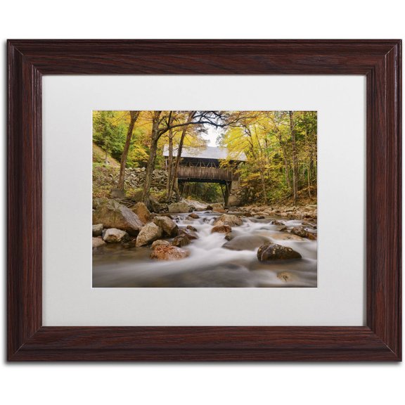 Trademark Fine Art 'The Flume Bridge' Canvas Art by Michael Blanchette Photography, White Matte, Wood Frame