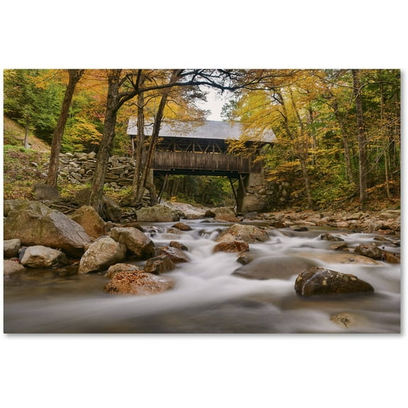 Trademark Fine Art 'The Flume Bridge' Canvas Art by Michael Blanchette Photography