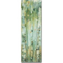 Trademark Fine Art "The Forest V" Canvas Art by Lisa Audit