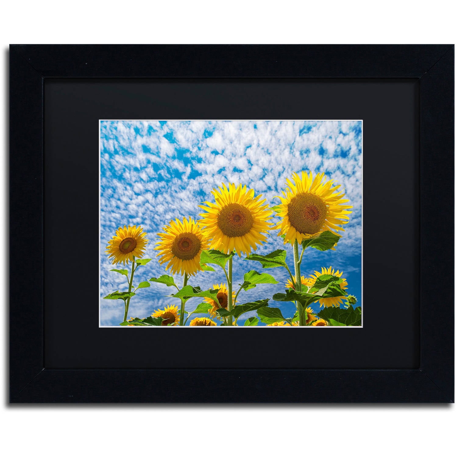 Trademark Fine Art "The Four Sisters" Canvas Art by Michael Blanchette Photography Black Matte, Black Frame