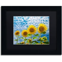 Trademark Fine Art "The Four Sisters" Canvas Art by Michael Blanchette Photography Black Matte, Black Frame