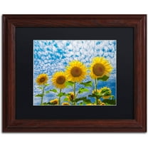 Trademark Fine Art "The Four Sisters" Canvas Art by Michael Blanchette Photography Black Matte, Wood Frame