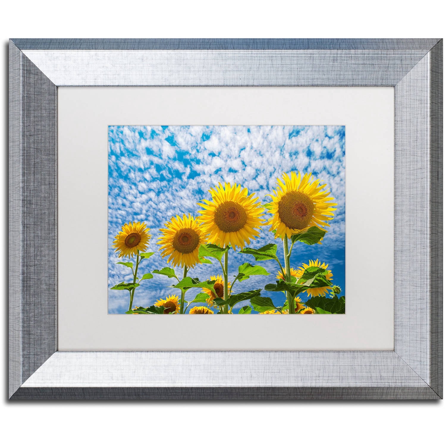 Trademark Fine Art "The Four Sisters" Canvas Art by Michael Blanchette Photography White Matte, Silver Frame