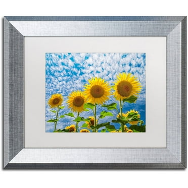 Trademark Fine Art "The Four Sisters" Canvas Art by Michael Blanchette Photography White Matte, Silver Frame