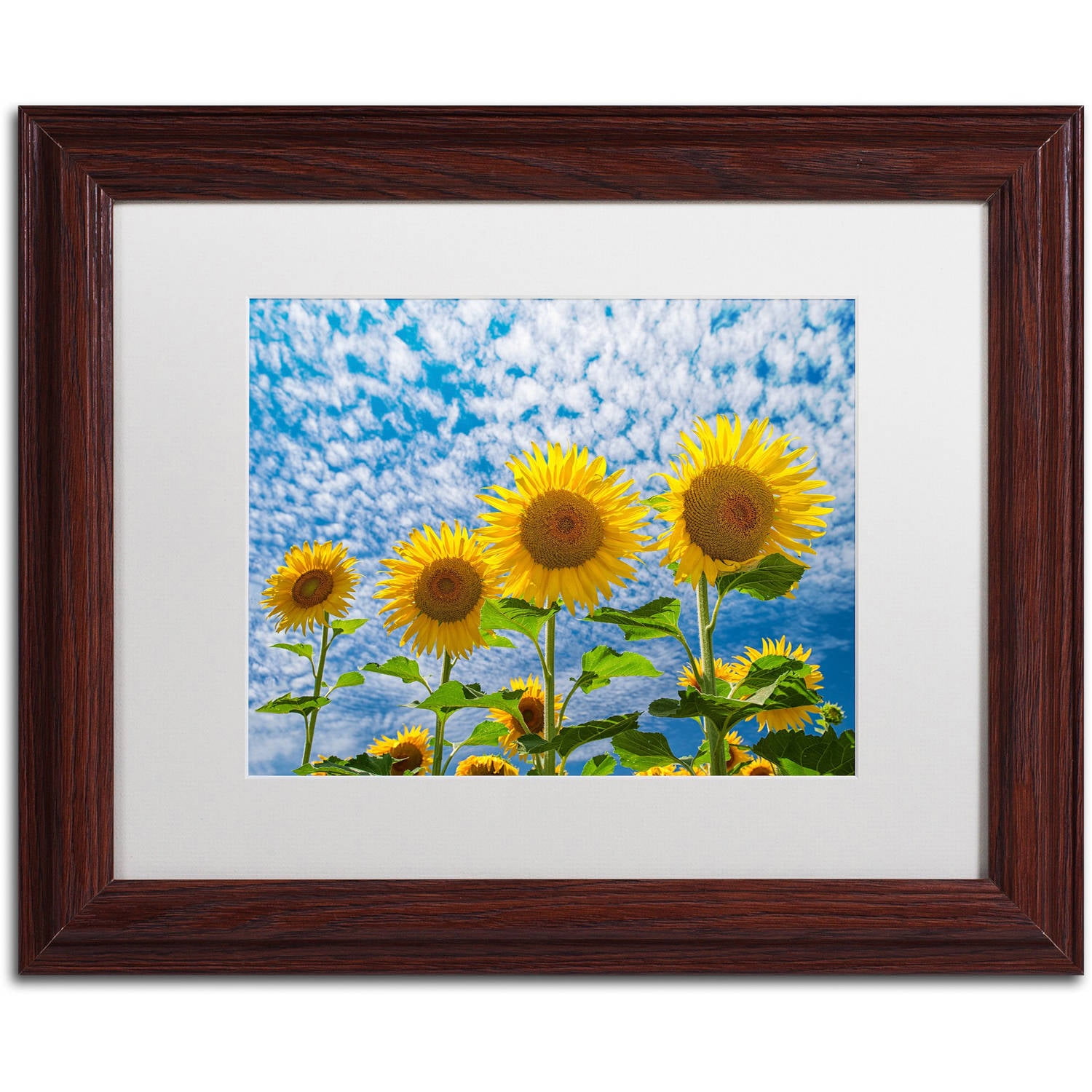 Trademark Fine Art "The Four Sisters" Canvas Art by Michael Blanchette Photography White Matte, Wood Frame