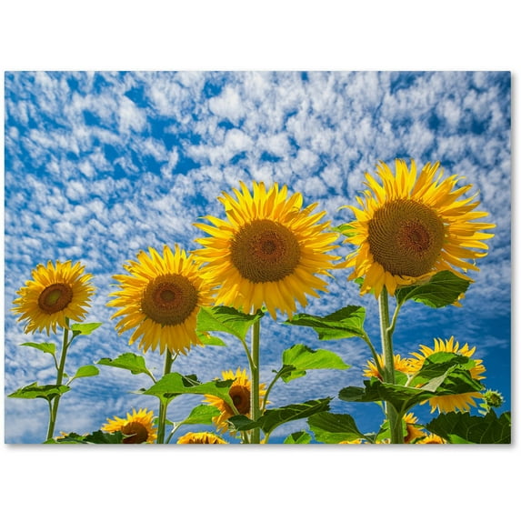 Trademark Fine Art "The Four Sisters" Canvas Art by Michael Blanchette Photography
