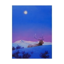 Trademark Fine Art 'The Gift Elk' Canvas Art by Julie T. Chapman