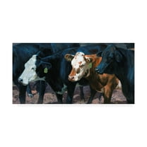 Trademark Fine Art 'The Gossips' Canvas Art by Jack Sorenson