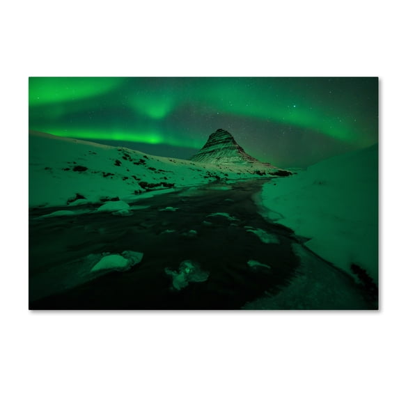 Trademark Fine Art 'The Green Planet' Canvas Art by Mathieu Rivrin