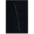 thumbnail image 1 of Trademark Fine Art "The Green Spiral" Canvas Art by Kurt Shaffer, 1 of 3