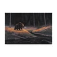 thumbnail image 1 of Trademark Fine Art 'The Guardian Bear' Canvas Art by Allen Jimmerson, 1 of 3