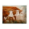 thumbnail image 1 of Trademark Fine Art 'The Guardian Cows' Canvas Art by Kathy Winkler, 1 of 1