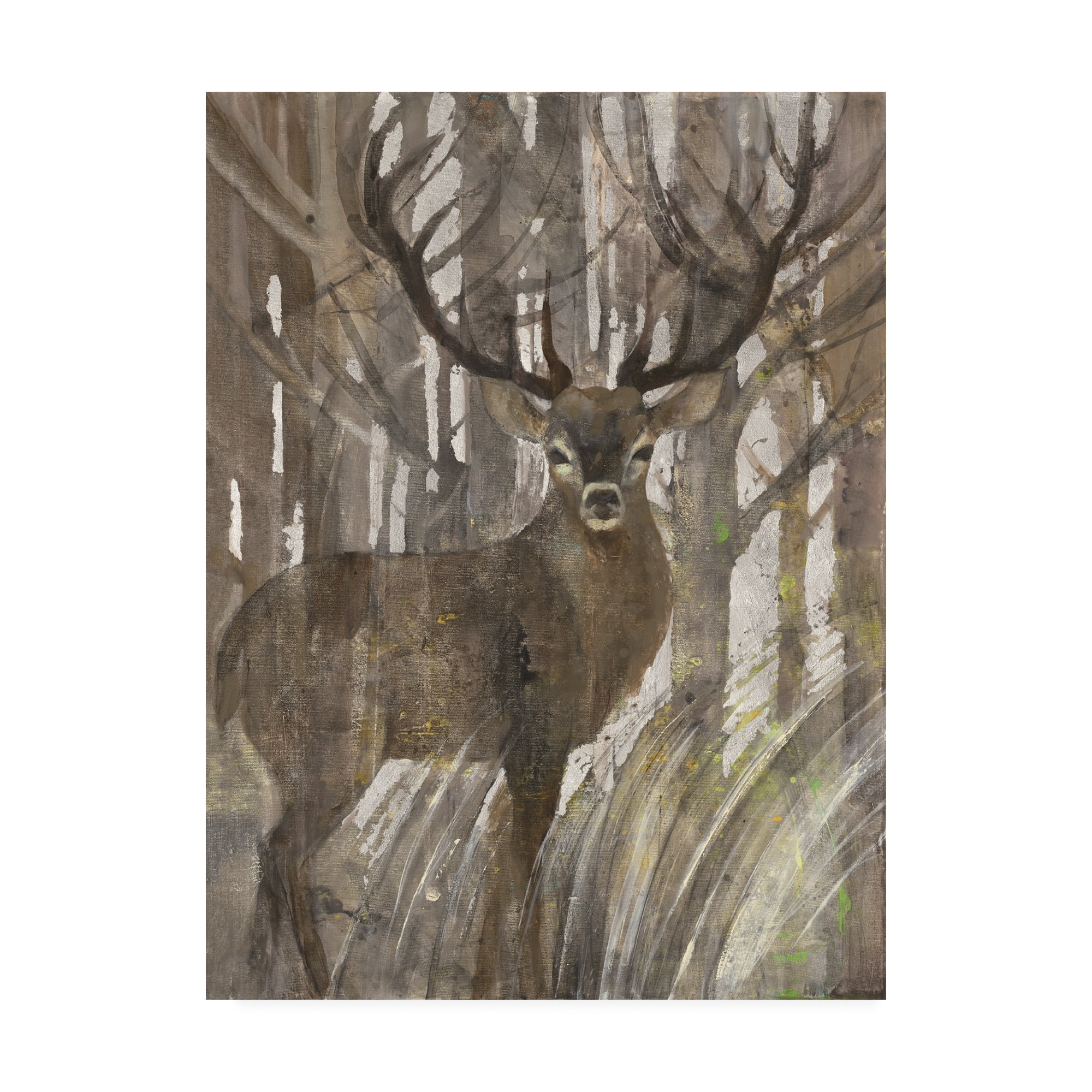 Trademark Fine Art 'The Guardian Deer' Canvas Art by Albena Hristova