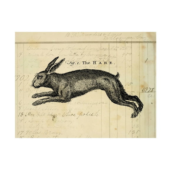 Trademark Fine Art 'The Hare' Canvas Art by Marcee Duggar