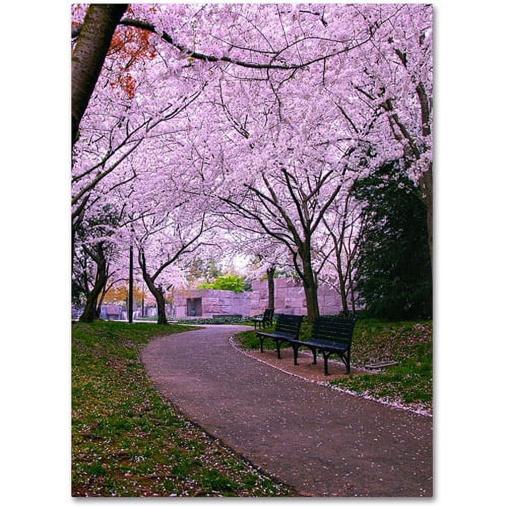 Trademark Fine Art "The Hope" Canvas Art by CATeyes
