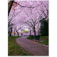 thumbnail image 1 of Trademark Fine Art "The Hope" Canvas Art by CATeyes, 1 of 4