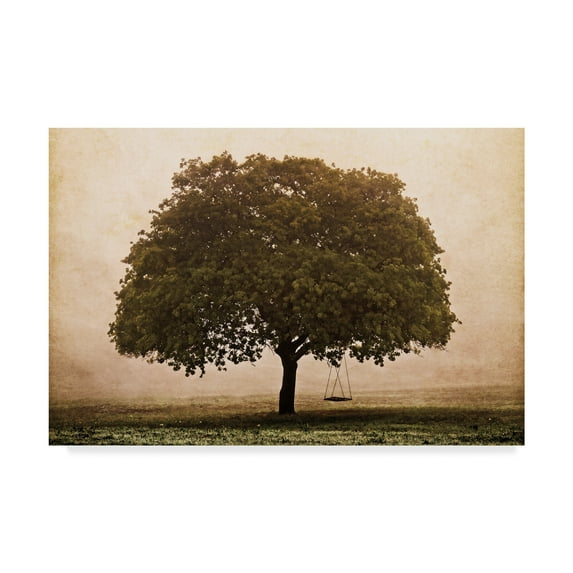 Trademark Fine Art 'The Hopeful Oak' Canvas Art by Debra Van Swearingen