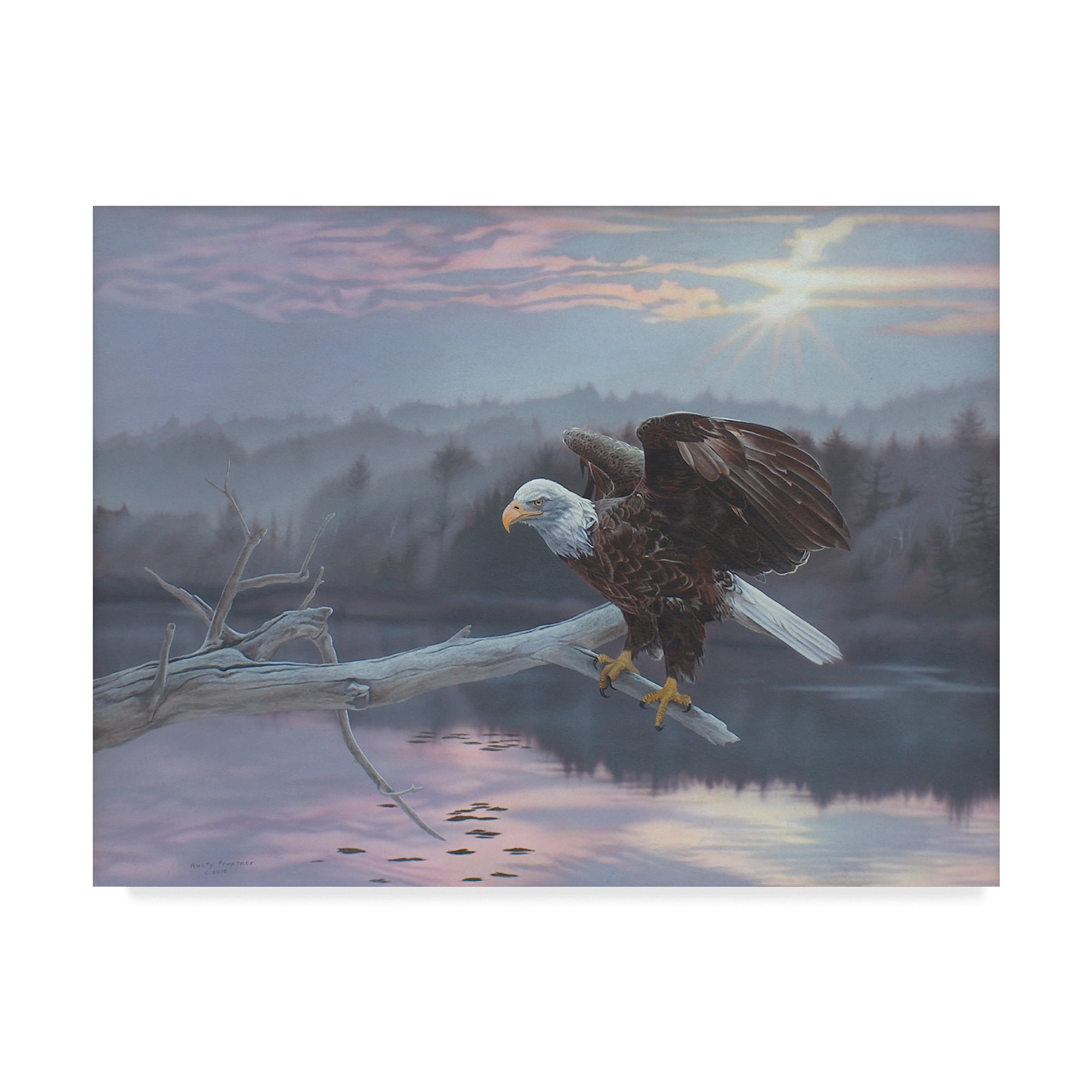 Trademark Fine Art 'The Huron Eagle' Canvas Art by Rusty Frentner