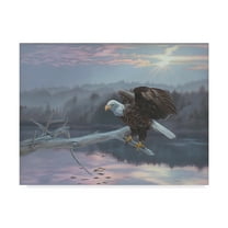 Trademark Fine Art 'The Huron Eagle' Canvas Art by Rusty Frentner
