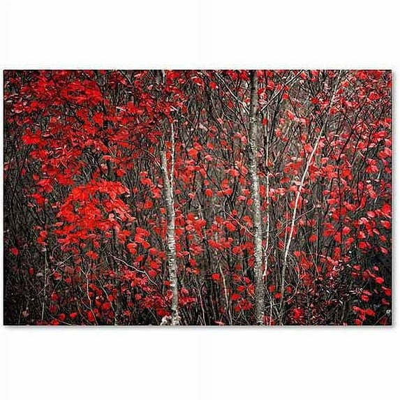 Trademark Fine Art "The Hush Before Winter" Canvas Art by Philippe Sainte-Laudy
