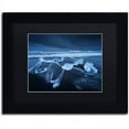 thumbnail image 1 of Trademark Fine Art "The Ice Age" Canvas Art by Mathieu Rivrin, Black Matte, Black Frame, 1 of 4