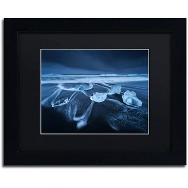 Trademark Fine Art "The Ice Age" Canvas Art by Mathieu Rivrin, Black Matte, Black Frame